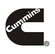 1549072728657853.jpg 康明斯